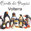 Il Coretto dei Pinguini